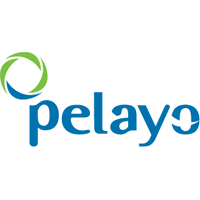 Seguros_Pelayo-logo-4ED07BB1A1-seeklogo_com